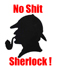 No Shit Sherlock!